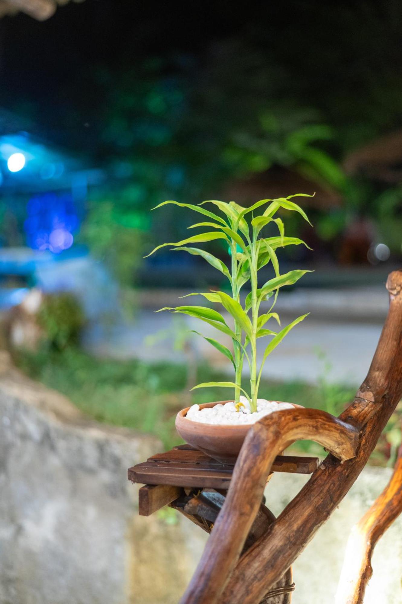 Ayurvedic Lanka Wellness Hotel Moragaswewa Экстерьер фото