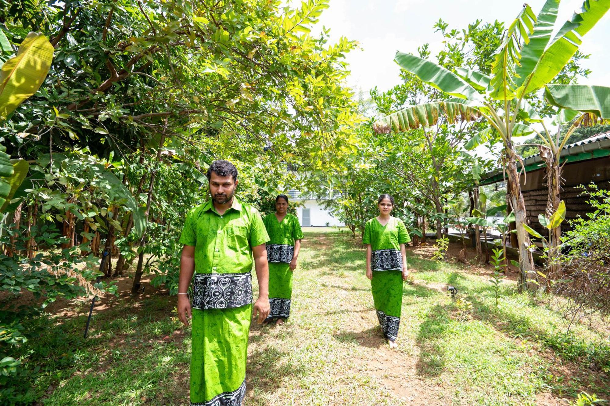 Ayurvedic Lanka Wellness Hotel Moragaswewa Экстерьер фото